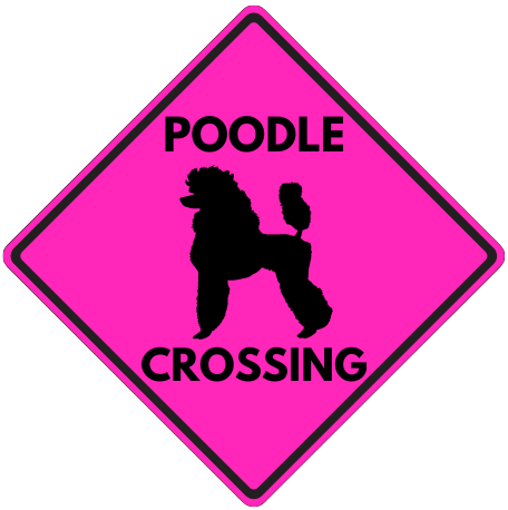 Poodle Crossing